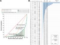 Population Esophageal Cancer Risk Stratification Using a GINI Coefficient